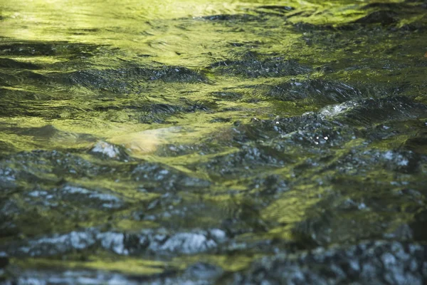 Água Verde Brilhante Superfície Rio Que Flui Rio Iguaçu — Fotografia de Stock