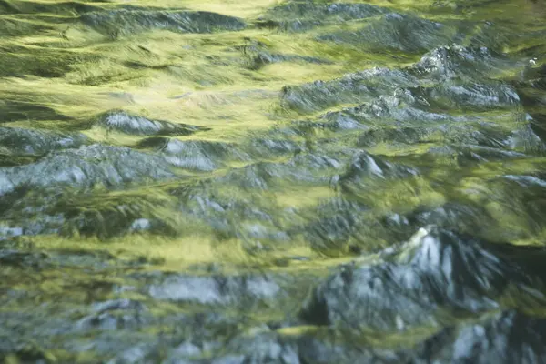 Agua Verde Brillante Superficie Río Que Fluye Río Iguazú —  Fotos de Stock