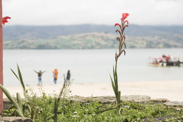 Totasjön Boyaca Colombia April 2018 Utsikt Över Den Största Sjön — Stockfoto