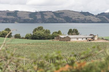 Aquitania, Boyaca / Kolombiya; 8 Nisan 2018: Andean manzarası, Galler soğan tarlalarıyla çevrili kırsal ev, Tota yakınlarındaki Allium fistulosum, en büyük Kolombiya gölü.