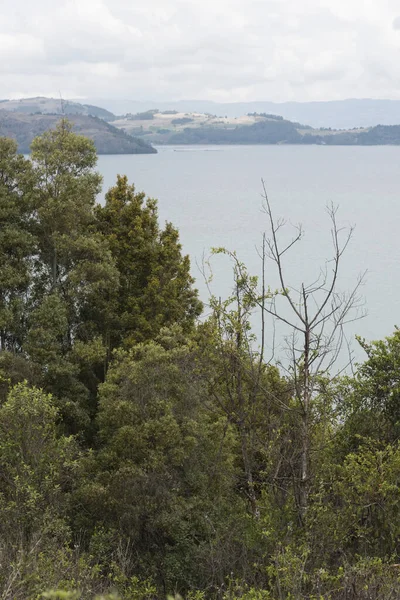 Naturlandschaft Auf Der Insel San Pedro Oder Isla Grande Tota — Stockfoto