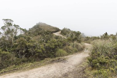 Chingaza Ulusal Doğal Parkı, Kolombiya. Paramo manzarası: bir tepe boyunca uzanan yol, yeşilliklerle çevrili, bulutlu ve sisli bir gün