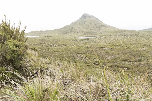 Chingaza Nationaal Natuurpark Colombia Buitrago Lagunes Bewolkt Heidelandschap Heuvel Tussen — Stockfoto