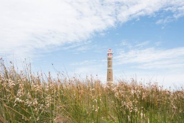 Cabo Polonio Lighthouse and meadow in summer, Rocha, Uruguay; a beautiful tourist destination clipart