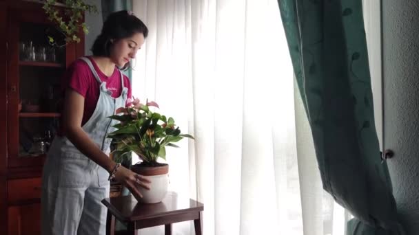 Νεαρή Γυναίκα Ποτίζει Ένα Φυτό Ένα Σπρέι Την Άνοιξη — Αρχείο Βίντεο