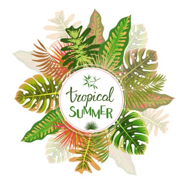 Tropikal yaz desen yaprakları, vektör çizim ile