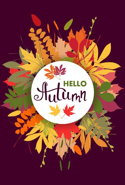 Background with multicolor autumn leaves. Vector illustration — Stock Vector