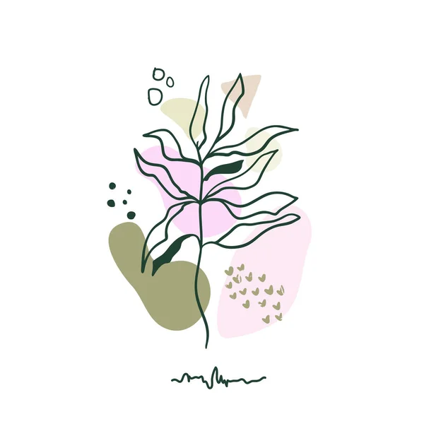 Mão Desenhado Fundo Floral Abstrato Isolado Branco Fundo Flor Vetor — Vetor de Stock