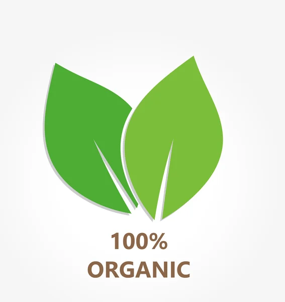 Icona foglie organiche — Vettoriale Stock
