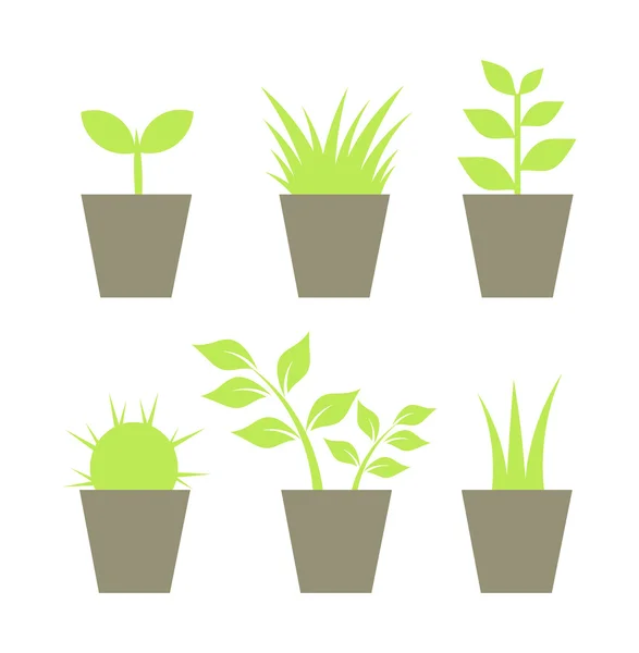 Houseplants in pots — Stock Vector