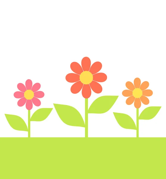 草原の花 — ストックベクタ