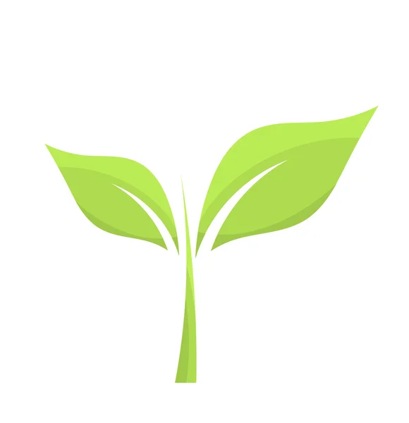 Pequeña planta verde — Vector de stock