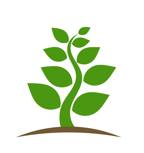Zielona roślina wektor — Wektor stockowy