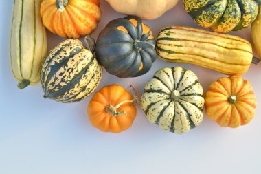 Winter squash collection clipart