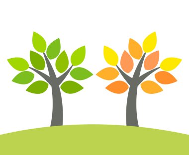 Yeşil ilkbahar ve sonbahar portakal ağacı.