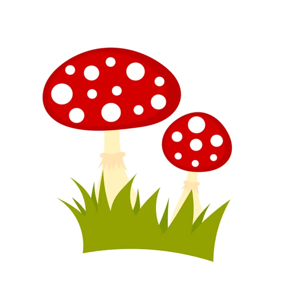 Toadstools mushrooms vector — Stock Vector