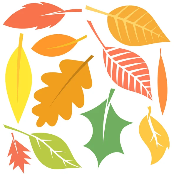 Autumn leaves vector — Stock Vector