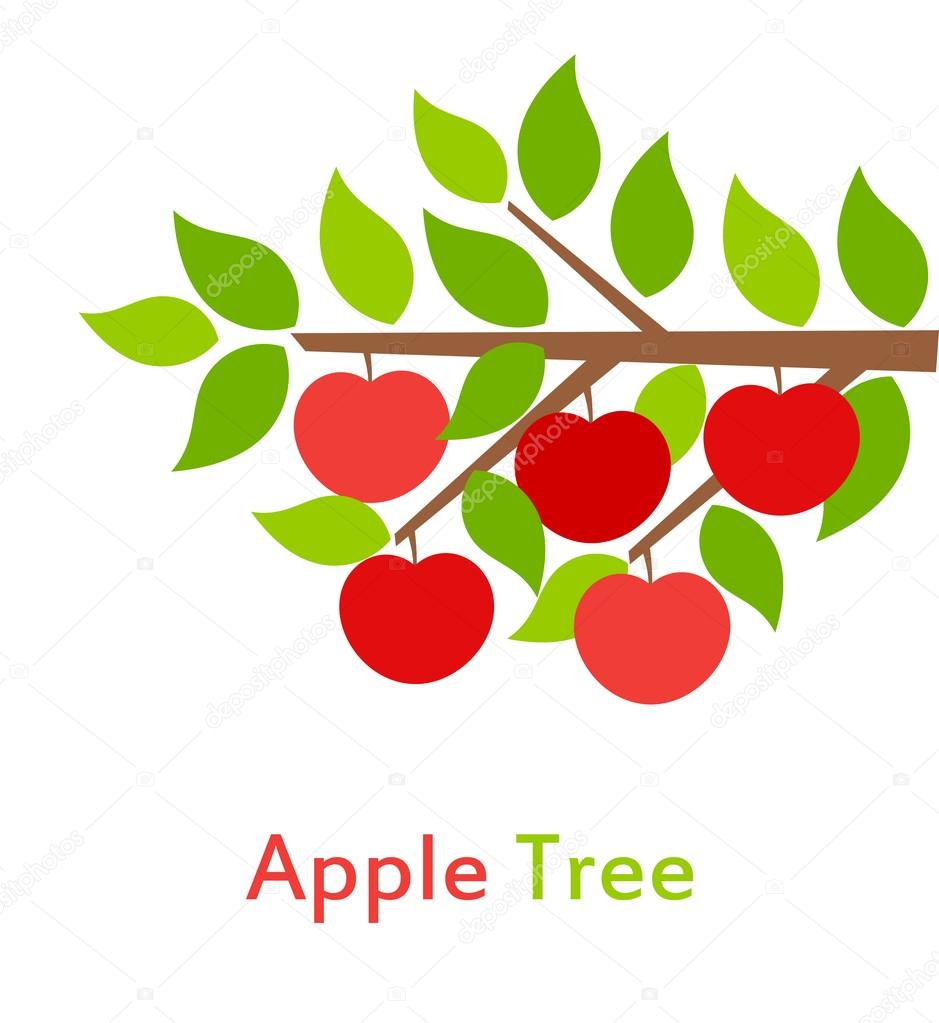 Apple tree branch