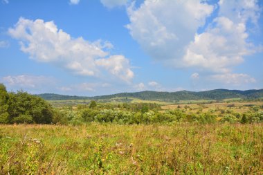 Ukraynalı dağlar ve çayırlar