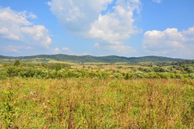 Ukraynalı dağlar ve çayırlar