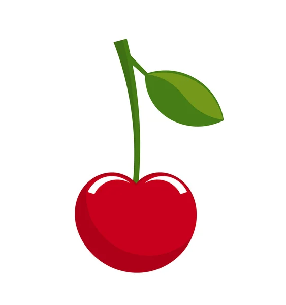 Cherry fruit vector — Stock Vector