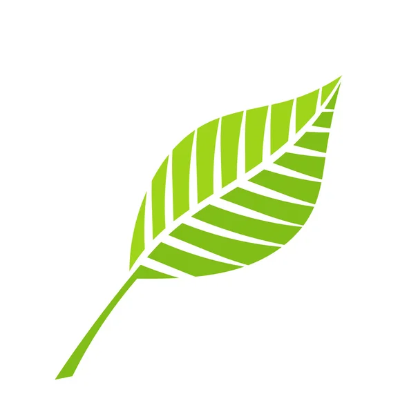 Green leaf vector — Vector de stoc