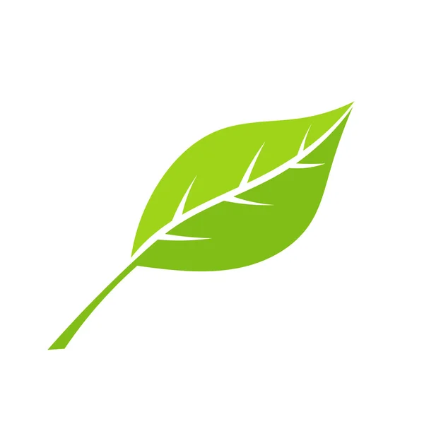 绿色生态叶 — 图库矢量图片