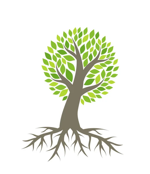 Árvore com vetor de raízes — Vetor de Stock