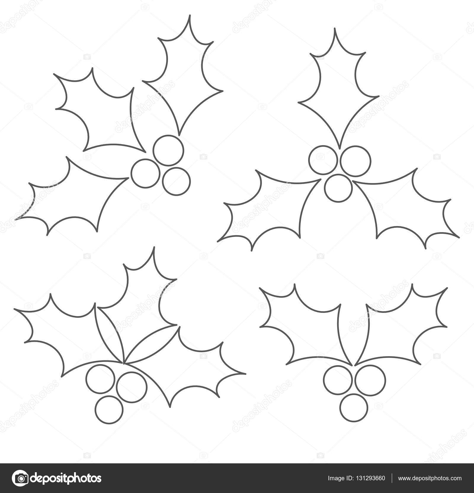 Ilex Malvorlage Coloring and Malvorlagan