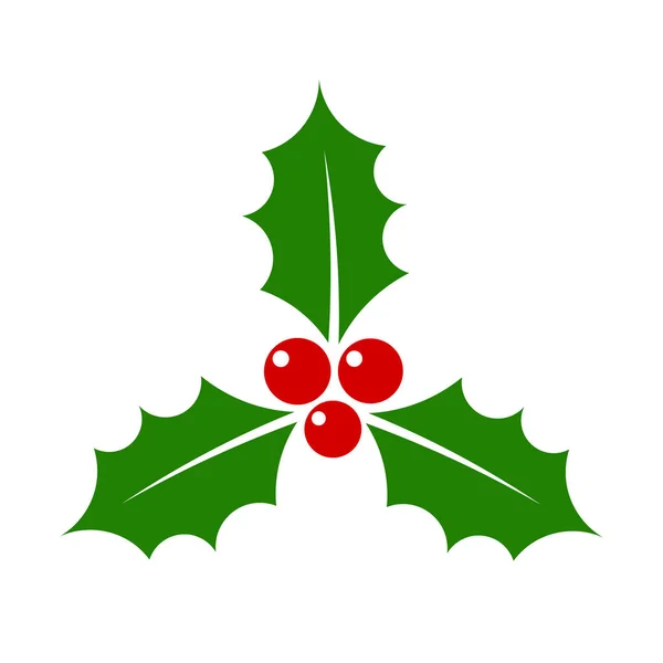 Christmas holly berry — Stockový vektor