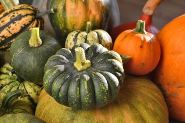 Kabaklar ve squashes yığını