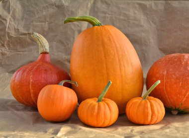 Dekoratif turuncu kabak