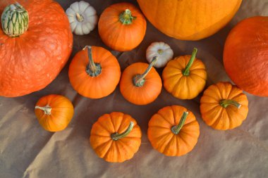 Turuncu kabak dekorasyon