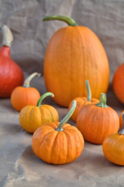 Turuncu kabak dekorasyon