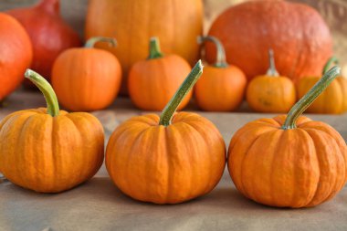 Turuncu kabak dekorasyon