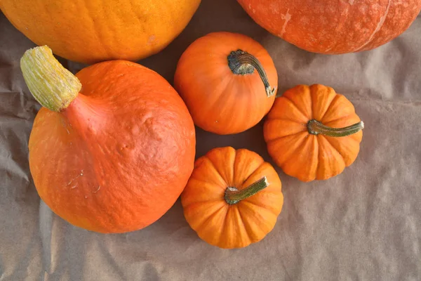 Calabazas naranjas sobre fondo de papel —  Fotos de Stock