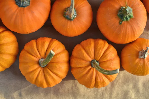 Orange pumpkins decoration — Stock Photo, Image