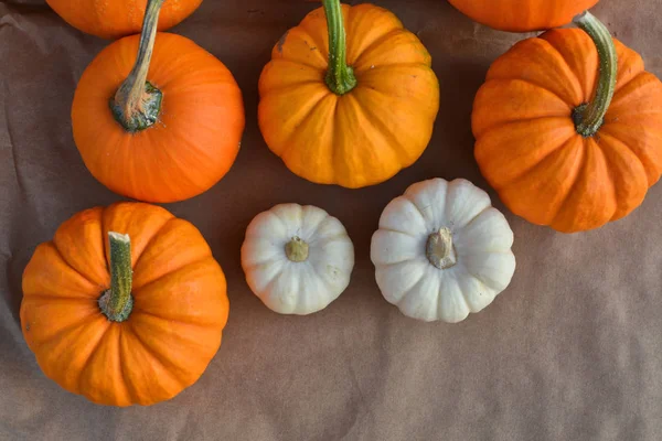 Jesienna dekoracja pumpkis — Zdjęcie stockowe