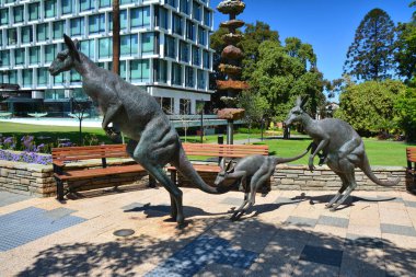 Kanguru heykeller Stirling Bahçe