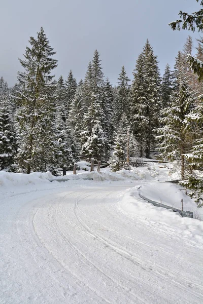 Camino forestal en invierno — Foto de Stock