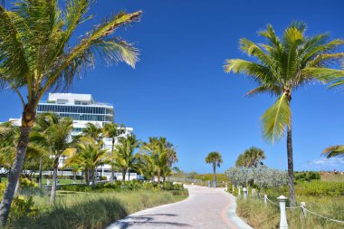 Miami beach yürüme yolu