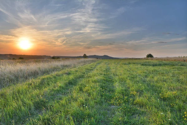 Sommar äng solnedgång — Stockfoto