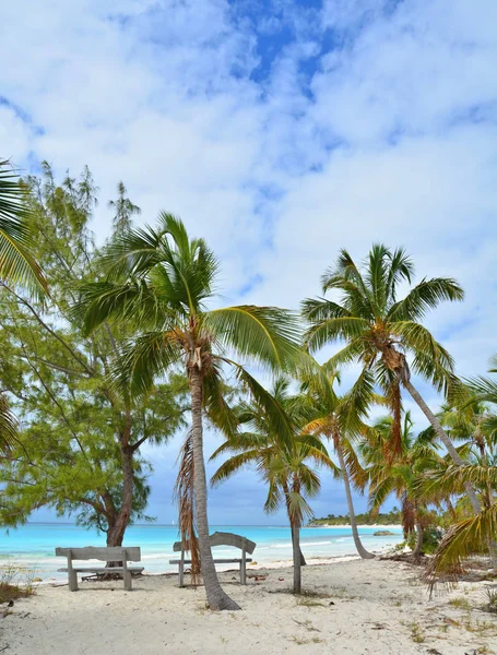 Eleuthera Bahamy beach — Zdjęcie stockowe