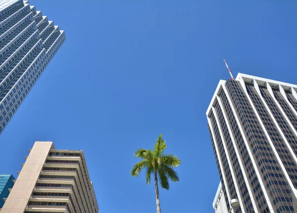 Rascacielos del centro de Miami — Foto de Stock