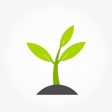 Küçük bitki çimlenmesi