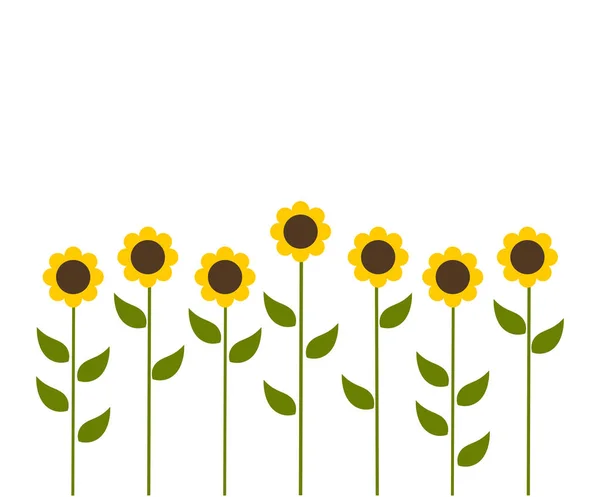 Solrosor blommor bakgrund — Stock vektor