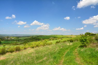Polonya kırsal manzara