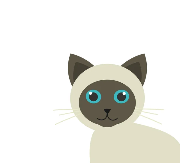 Lindo gatito siamés — Vector de stock