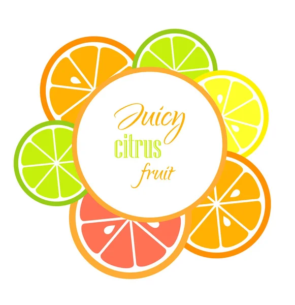 Citrus fruit slices label — Stock Vector
