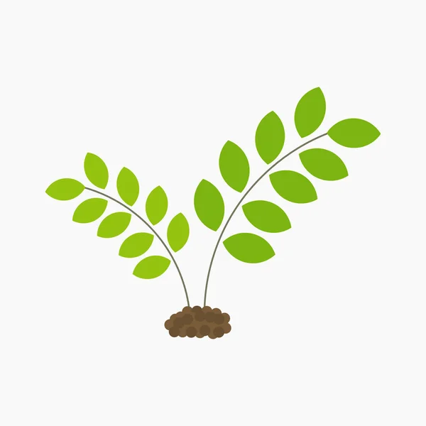 Άνοιξη φυτό αυξάνεται από το έδαφος — Διανυσματικό Αρχείο